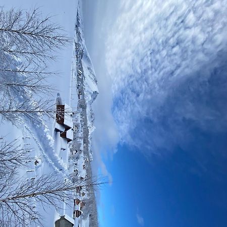Guest House Sky Blue Zabljak  Ngoại thất bức ảnh